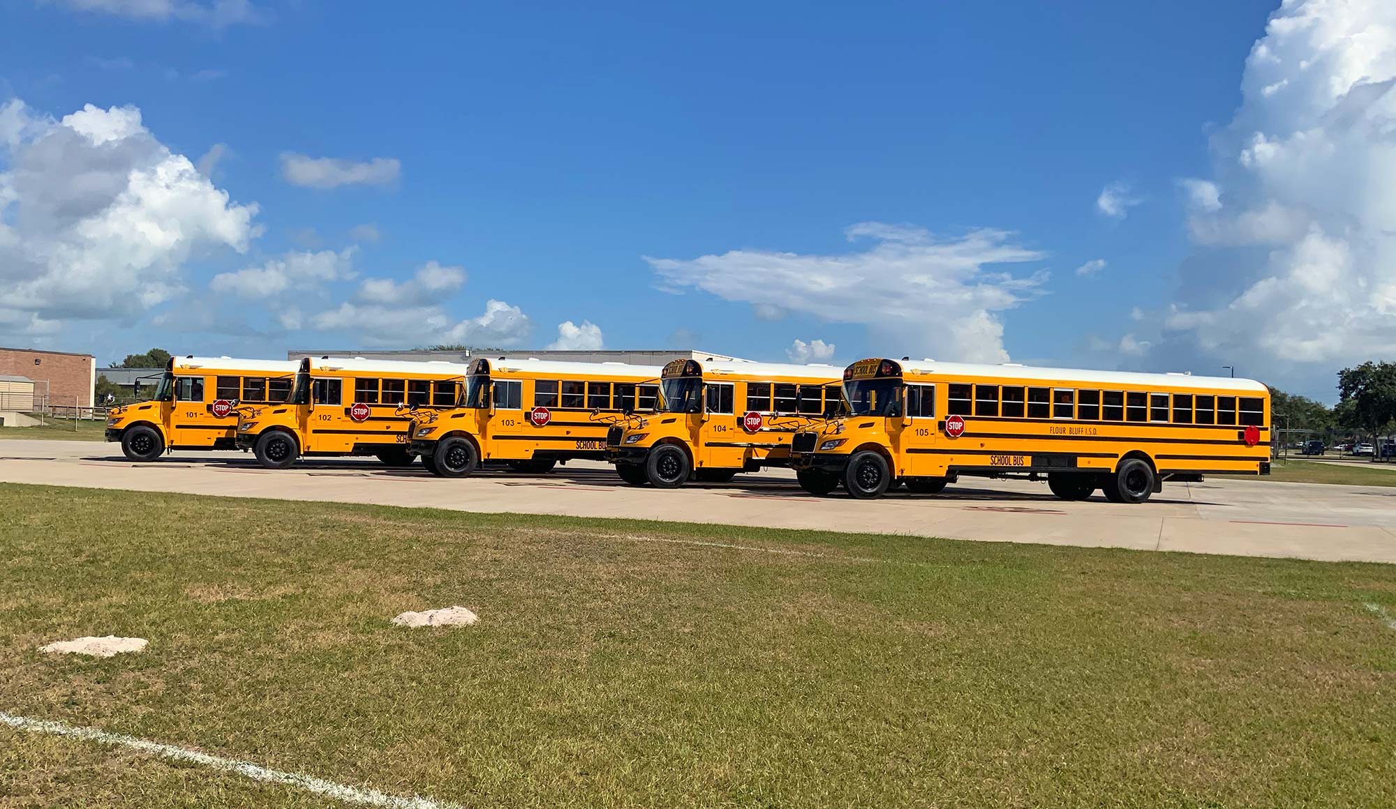 Four yellow school buses are parked in a row on a paved lot next to a grassy area, under a blue sky with scattered clouds.
