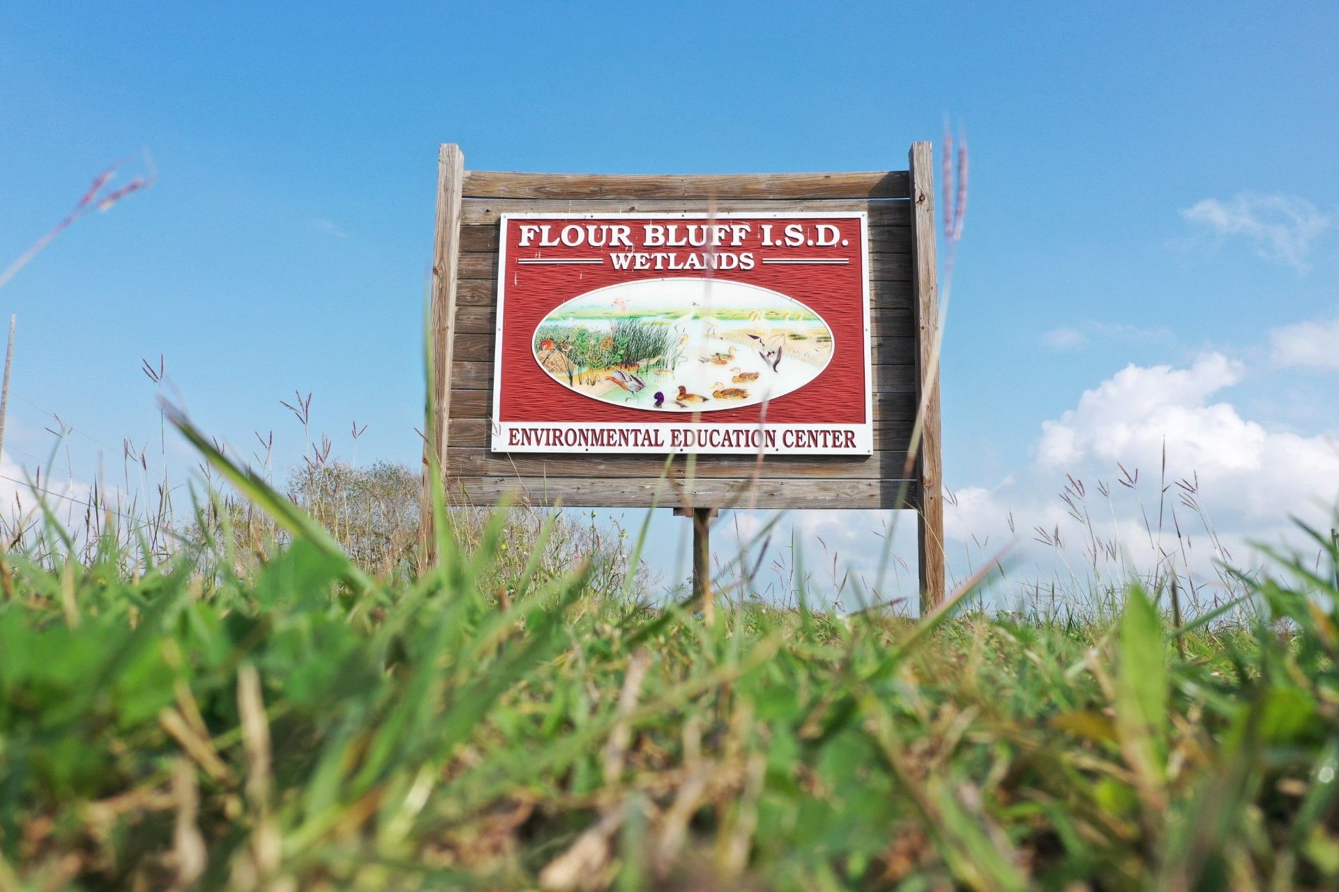 A wooden sign reading Flour Bluff I.S.D. Wetlands Environmental Education Center stands in grassy field under a blue sky with clouds. An illustrated wetland scene is pictured in the center of the sign.